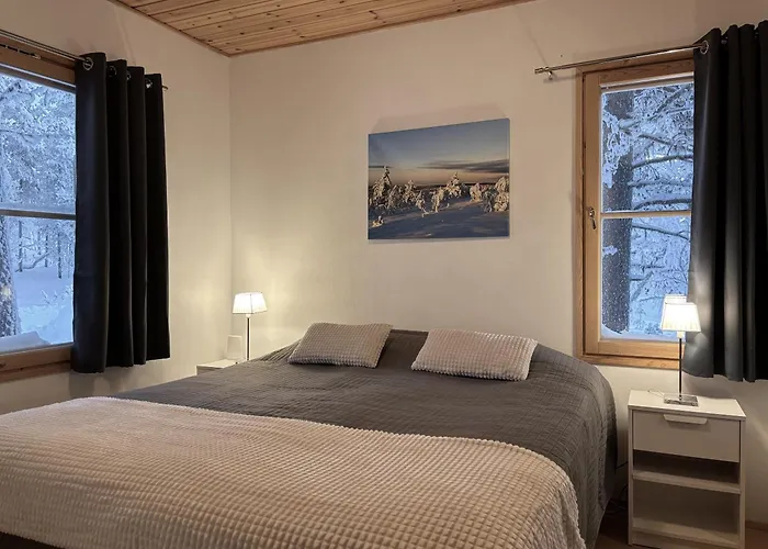 Vuorsa 1 A 1 * 사리셀카